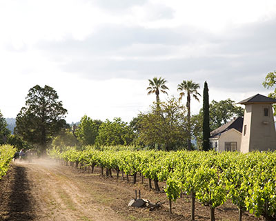 Napa Neighbor