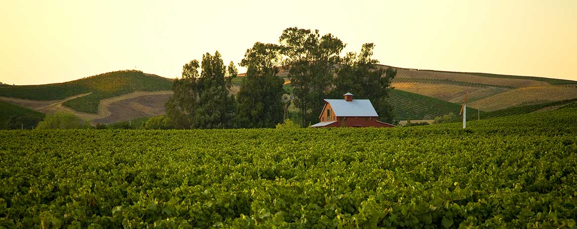Napa Valley: Small Place Big Reputation