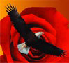 Label for Eagle & Rose Estate