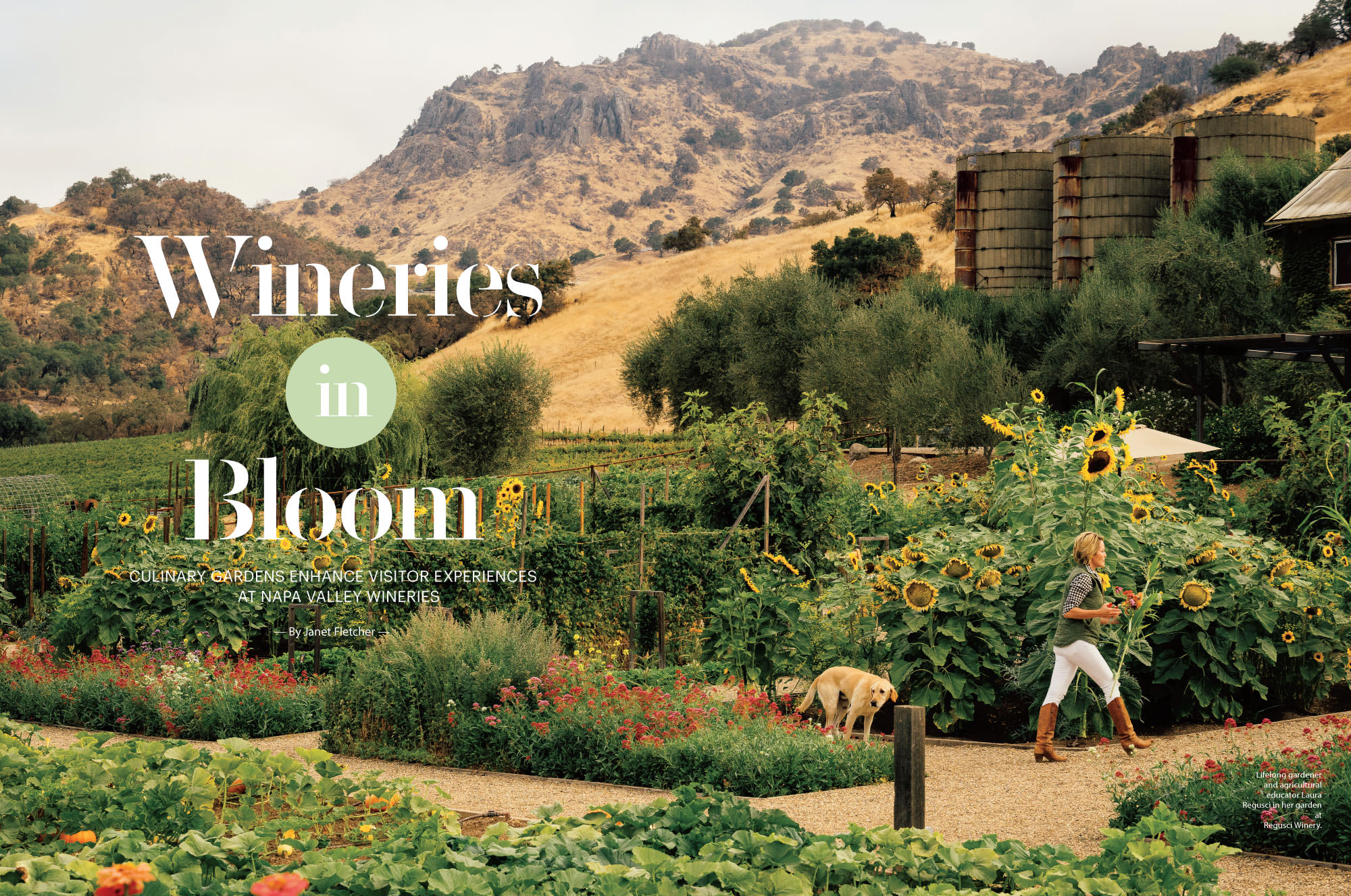 Lifelong gardener and agricultural educator Laura Regusci in her garden at
Regusci Winery