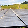 Solar panel array at Honig