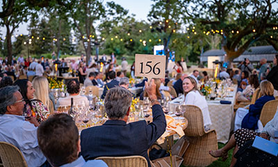 Auction Napa Valley 2025