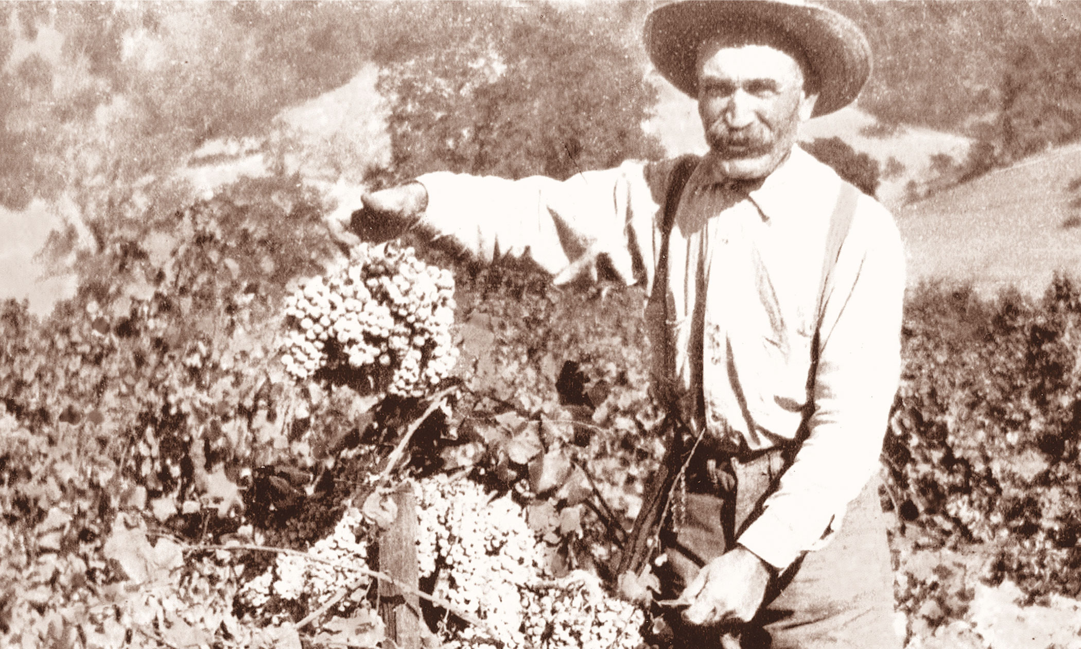 Catch Up on the Latest Articles from Napa Valley