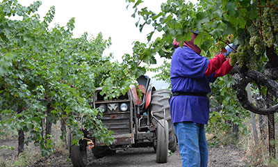 Napa Valley Media Resources