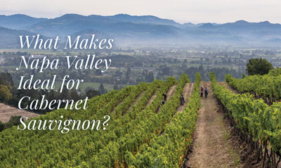 What makes Napa Valley ideal for Cabernet Sauvignon?