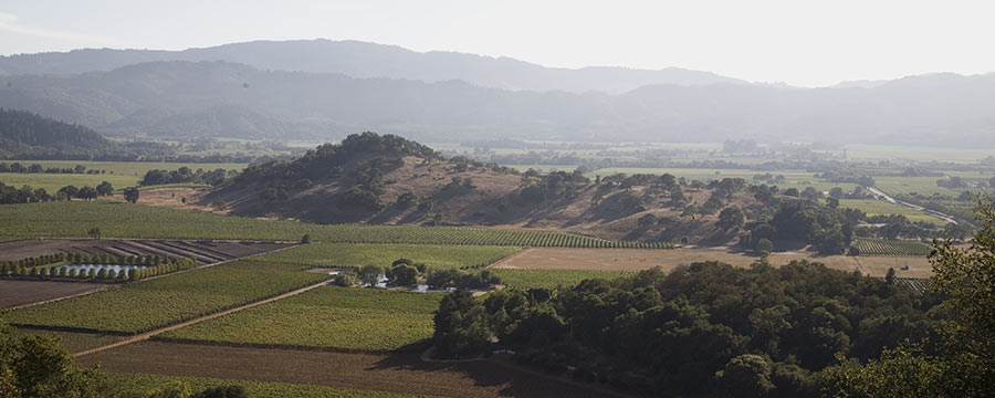Napa Valley Geography