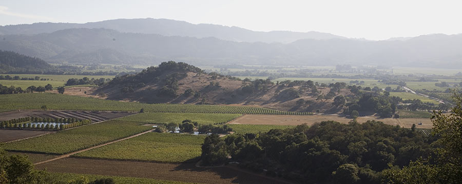 https://napavintners.com/images/landing/scenic_aerial3.jpg