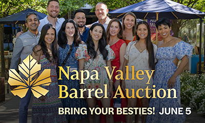 Napa Valley Barrel Auction Bring Your Friends