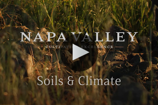 Napa Valley Soils & Climate