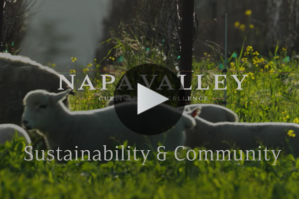 Sustainability and Community