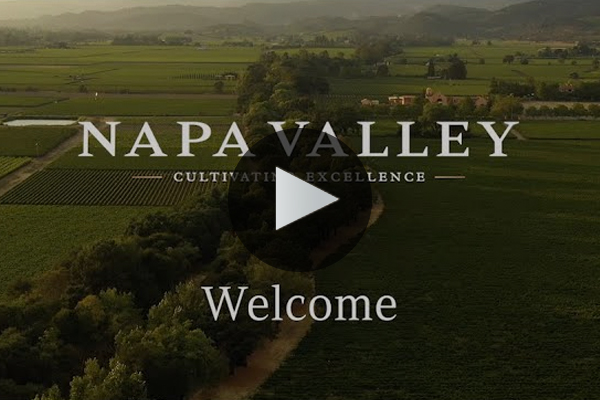 Napa Valley at a glance