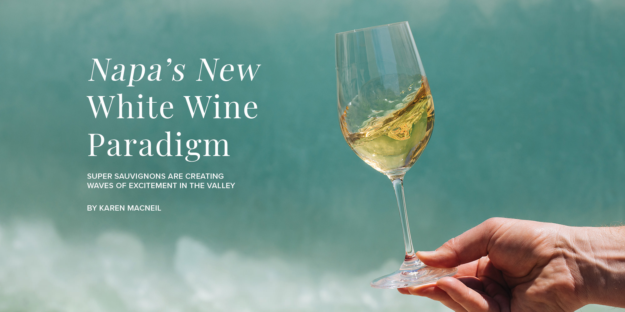 Male hand holding glass of white wine